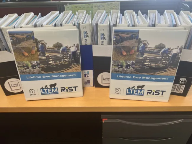 IMG_3650-1-1024×768