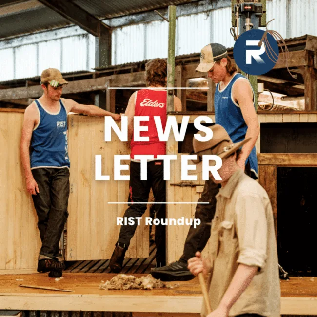 news letter